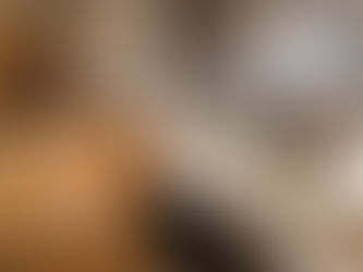 クロスとカーテンで有名な企業様の撮影が行われました。