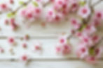 Spring Bloom.jpeg