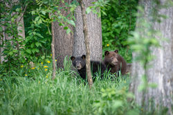 850_7019-Enhanced-NR-Edit copy