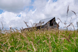 850_2089-Edit-2 copy