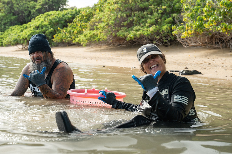 Paepae Day, 2025