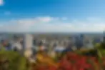 North America.webp