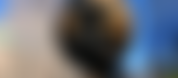 InspirarVoce está em New York City, N.Y.