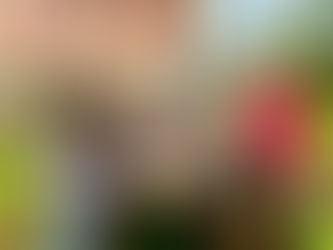 Pausa para o almoço na Casa Vanni.