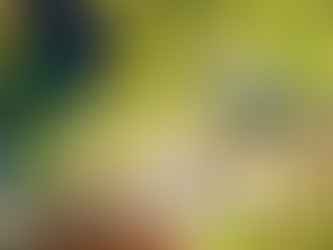 InspirarVoce estå em Dreamland Bungalows, Brasil