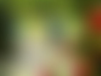 InspirarVoce está em Shui Brasil