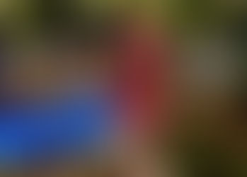 InspirarVoce está na Pousada Tartaruga