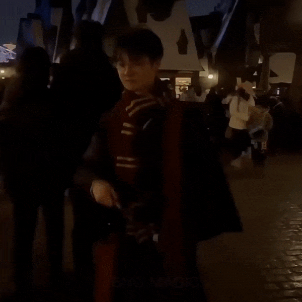 Home Harry Potter home-harry-potter