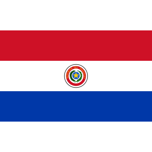 Drapeau / Flag - Paraguay - (3x5')