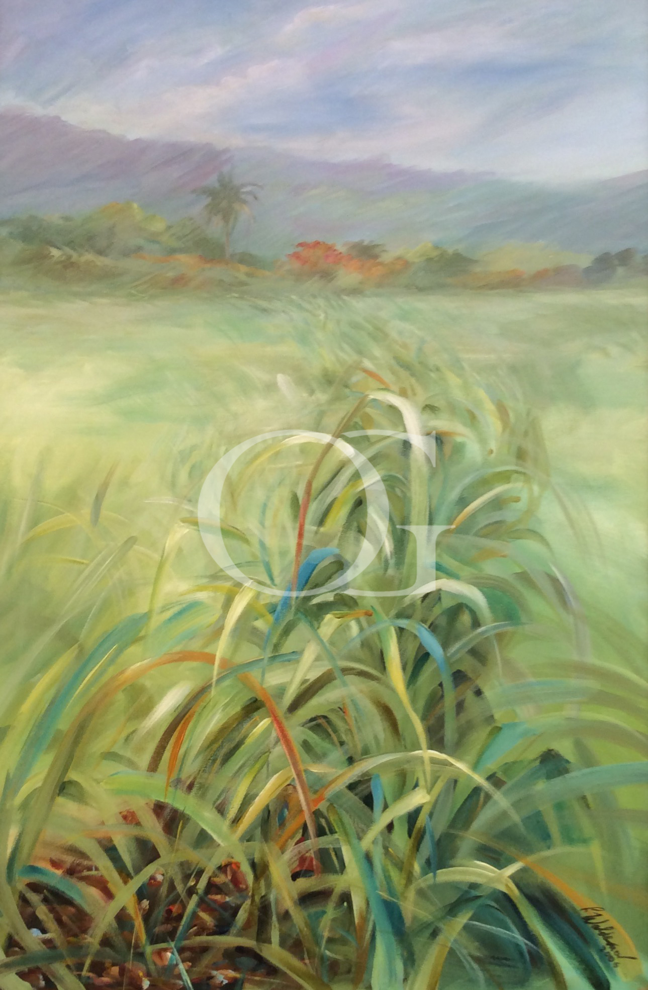 Green Field
