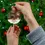 Thumbnail: Retro Tree Ornaments