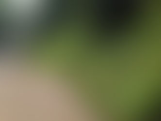 学校支援ボランティア草刈り奉仕