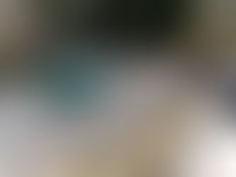 今年度最初の帰省日