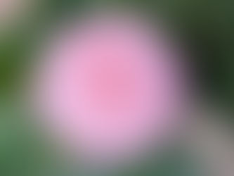 Does perfection truly exist?