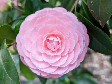 Does perfection truly exist?