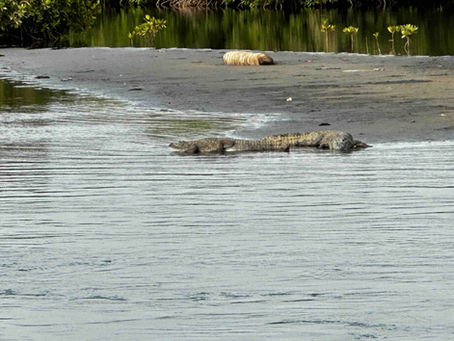Spaziergang in Bakau