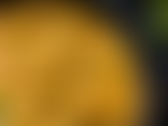 Coconut Chickpea Curry (Vegan & Gluten Free)