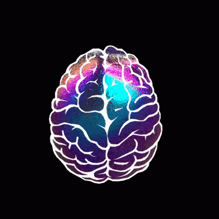28ad8afb6c91d28bcc8bf1f04e302b77.gif
