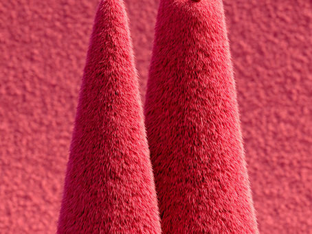 Followup Seasonal Portfolio Allocation - CYIs