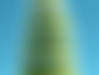 Seasonal Portfolio Allocation - CYIs