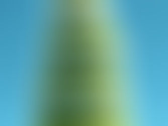 Seasonal Portfolio Allocation - CYIs