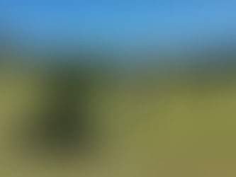 Frühschoppen der Feuerwehr Esternberg