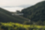 La vue depuis l'une des clairières du petit chemin.