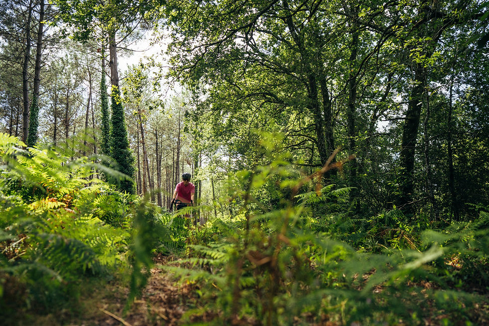 ABallanger-Bizi-Les-Landes-23-08-17.jpg