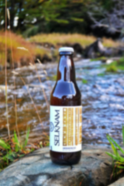 American Pale Ale