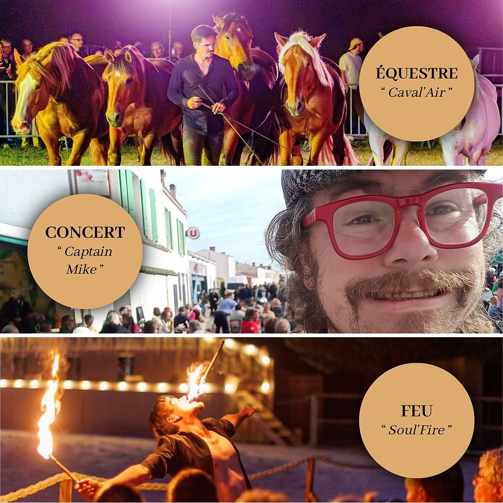 Spectacle équestre + Concert + spectacle de feu "Soul'fire"