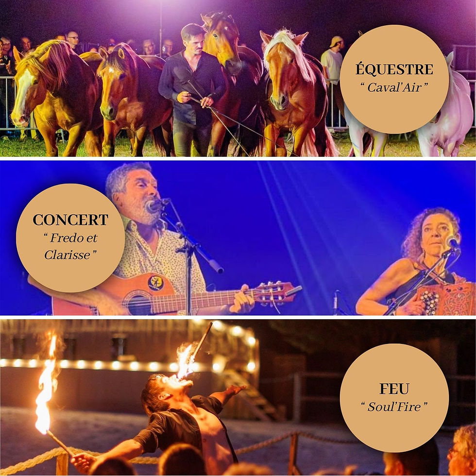 Spectacle équestre + Concert + spectacle de feu "Soul'fire"