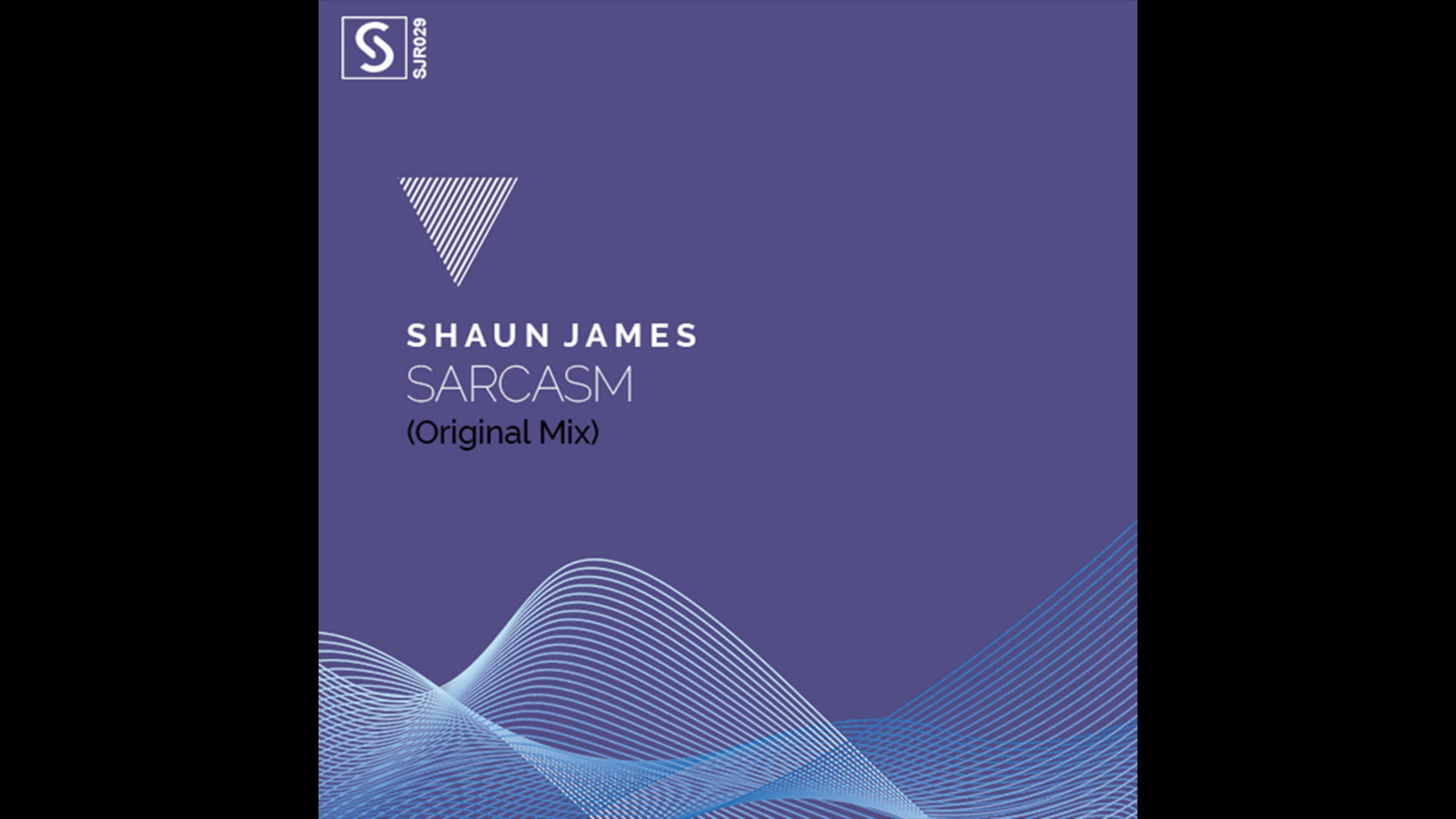 Shaun James - Sarcasm - (MP3)