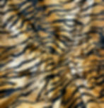 Thumbnail: Animal Print
