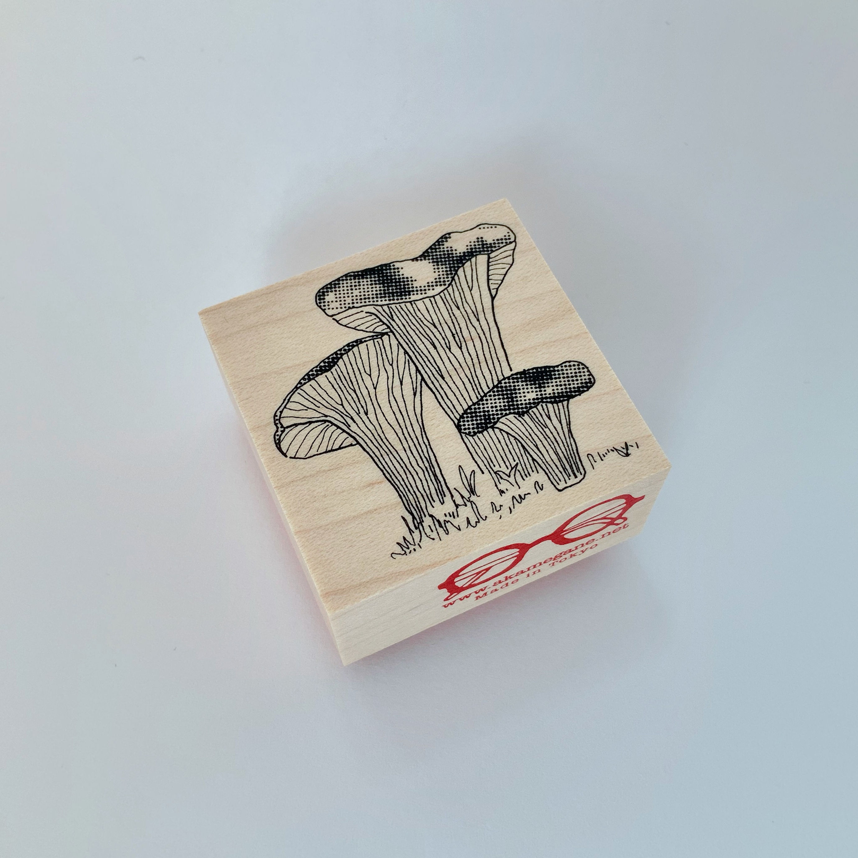 アンズタケ / Chanterelle