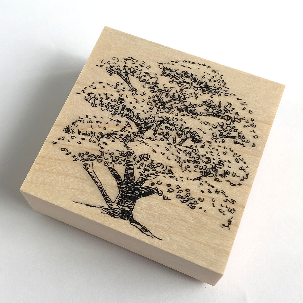 楢の大木 / Oaktree