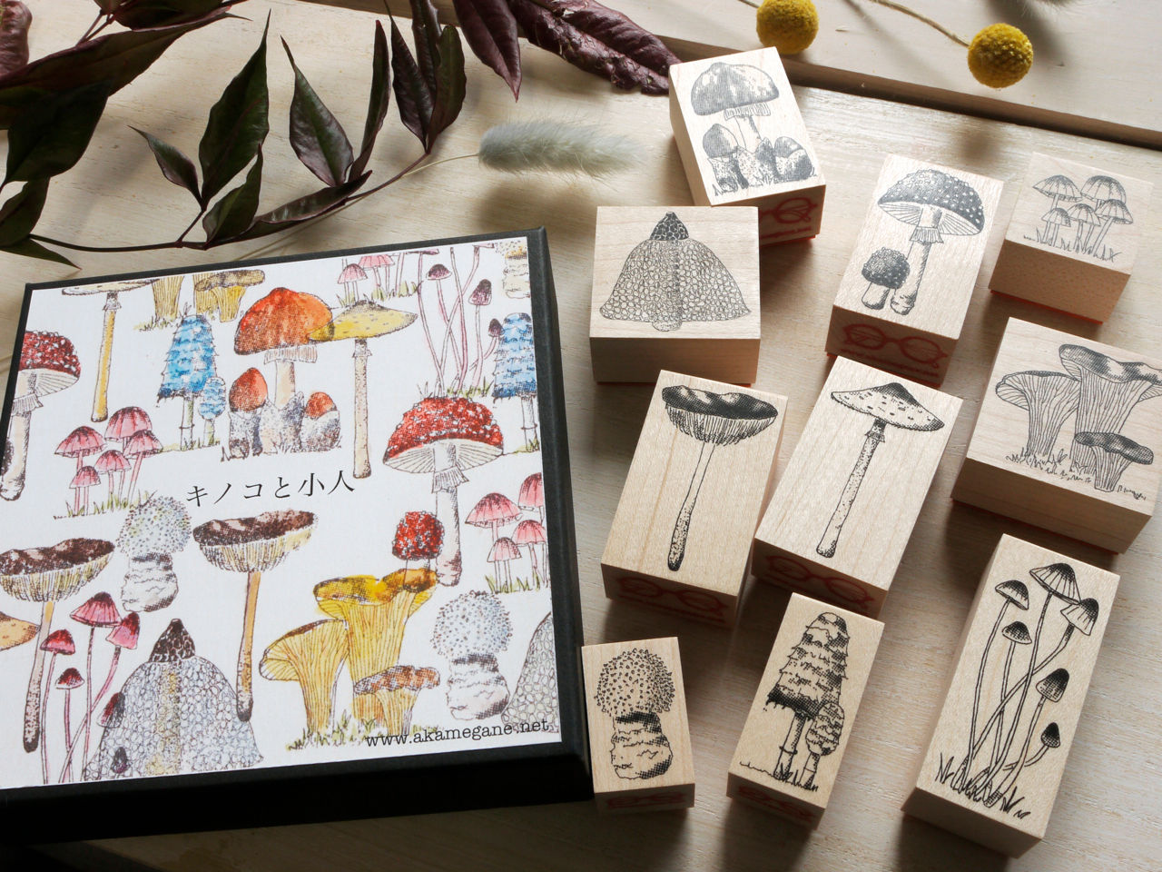 ”きのこ”のセット / Mushrooms complete box