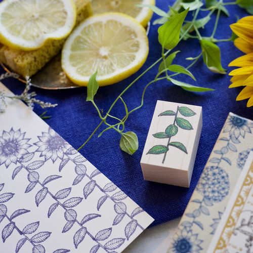 【新品・未使用】ありさ＆あかめがね Lady\"c\" 夏のお庭セット Lady”C”~夏のお庭~《コンプリートセット》 - Alisa & Akamegane ありさ