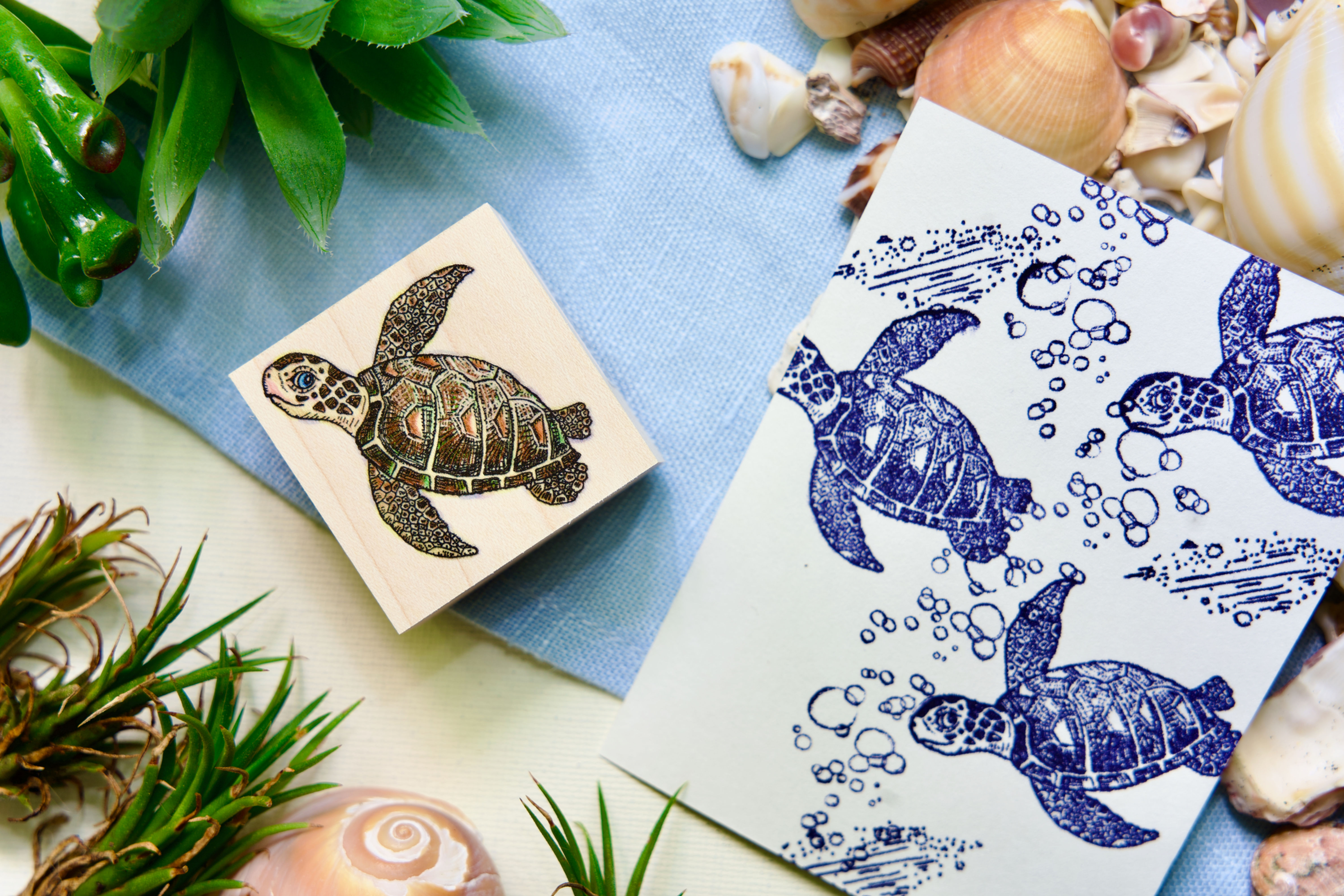 ウミガメタクシー/Seaturtle Cab Service