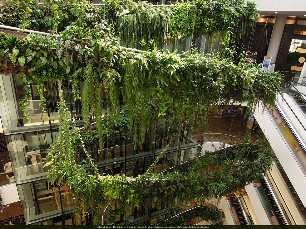 EmQuartier - Bangkok