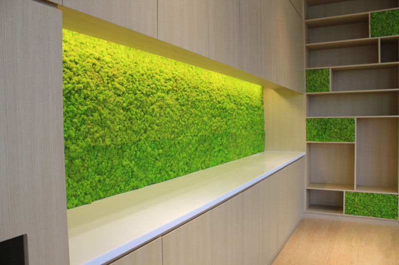 Preserved Moss Vertical Garden lighting.