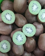 Premium Fresh Kiwi
