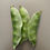 Thumbnail: GREEN SHORT MEDIUM BROAD BEAN/BB9