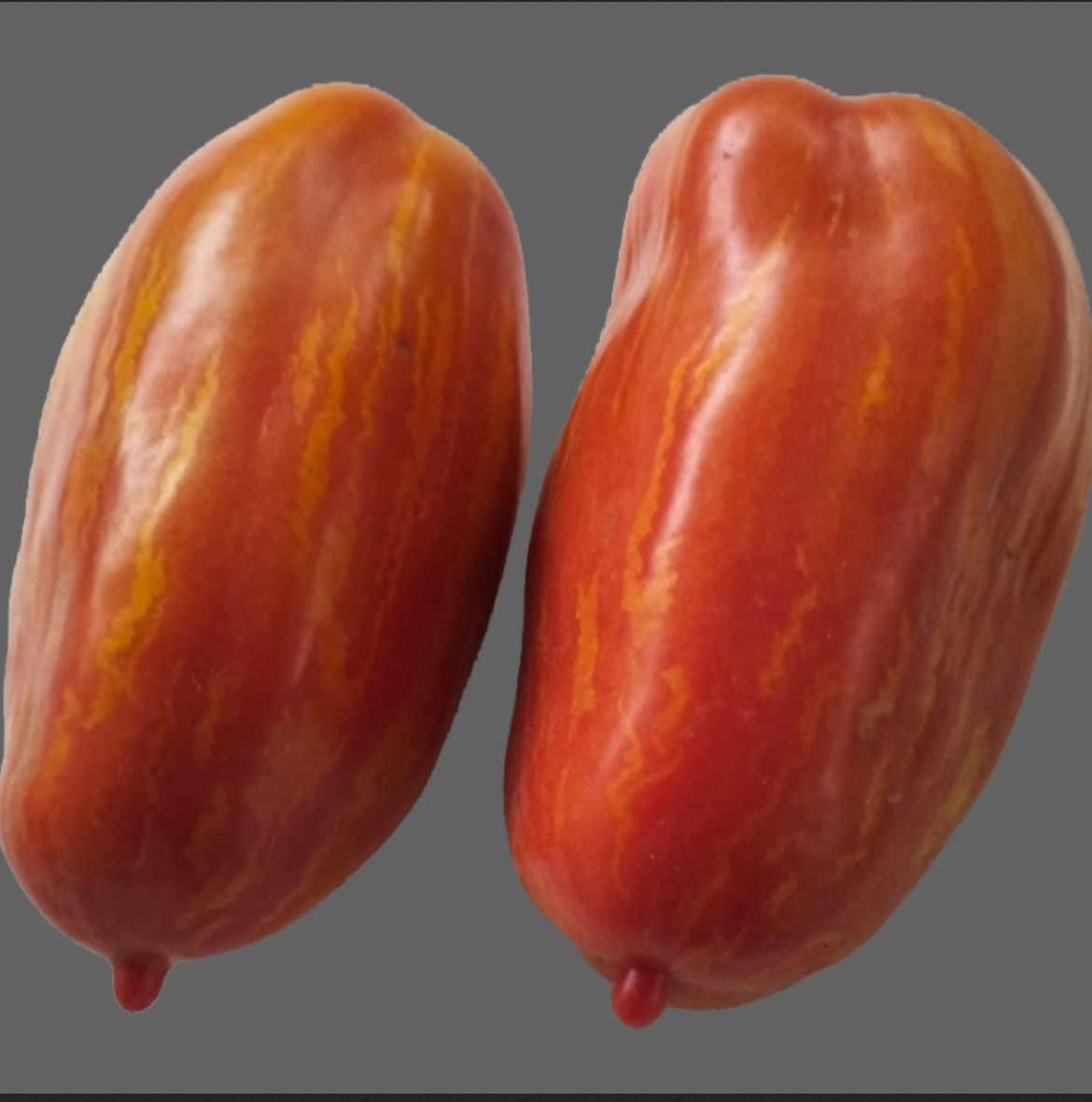 MARZANO FIRE PASTE/WT3