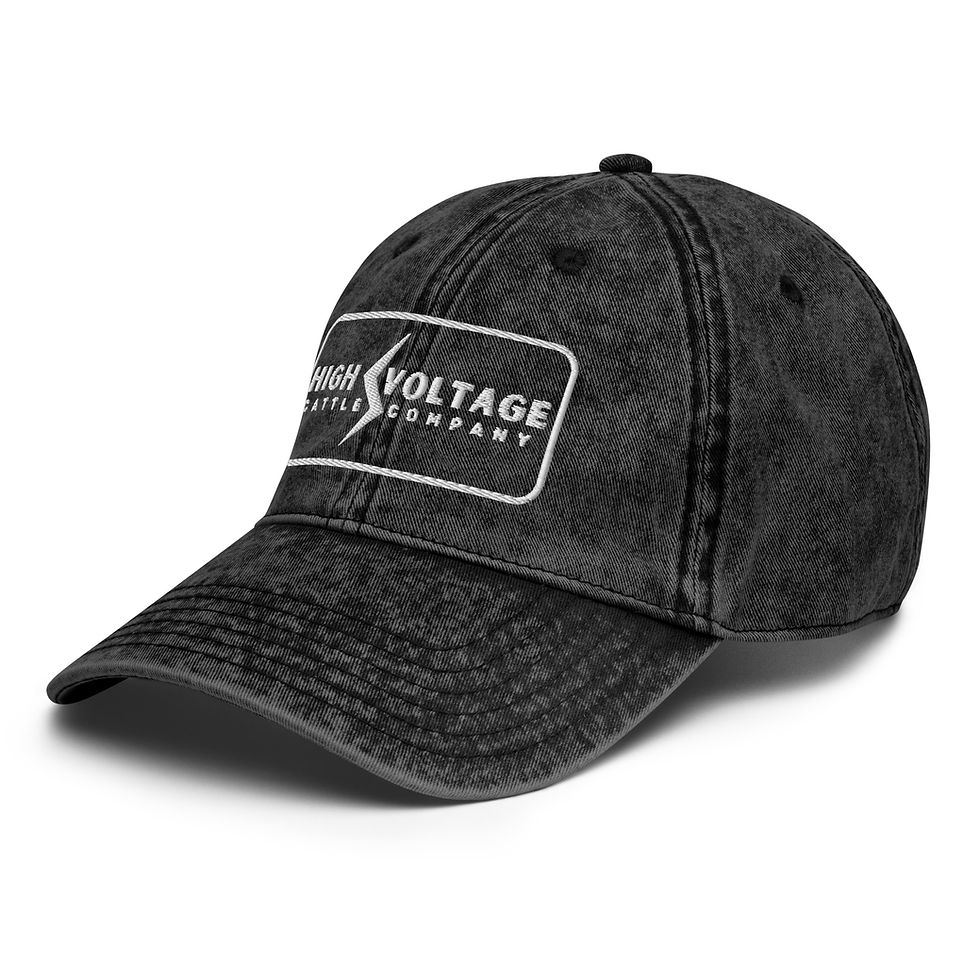 Thumbnail: High Voltage Vintage Dad Cap