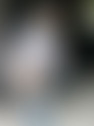 P.Knuckle, sly pyper, at Lolly's Ranch Filming Music Video for Southern Fried in cowboy hat and florida gators jersey