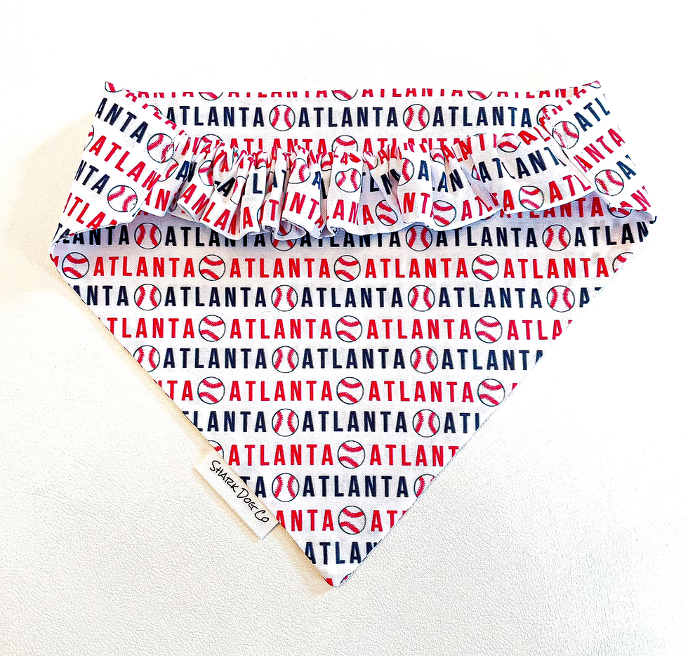 Thumbnail: Atlanta Baseball