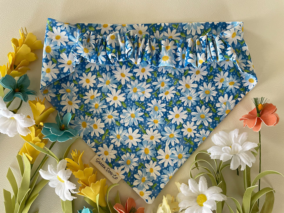 Thumbnail: Blue Daisy