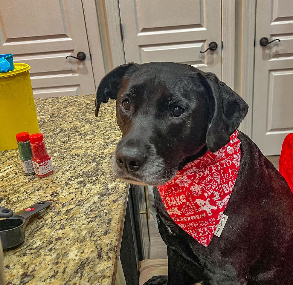 Thumbnail: Holiday Baking Flannel