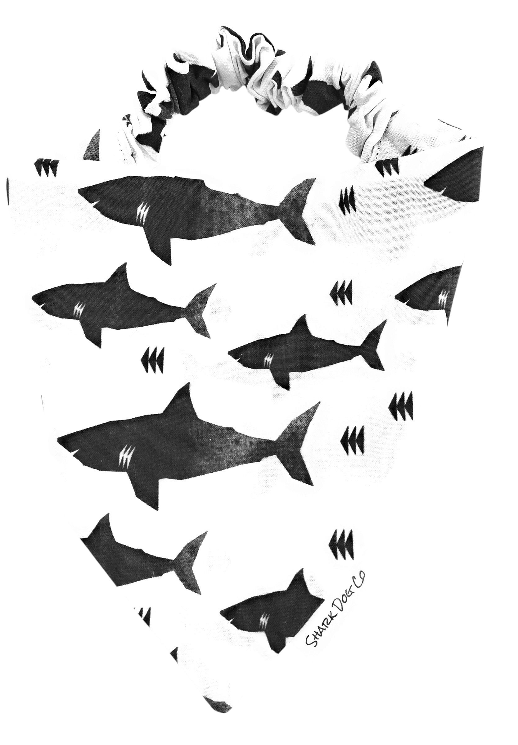 King of the Sea