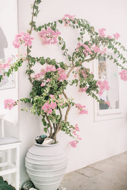 Indianapolis wedding photography pictures